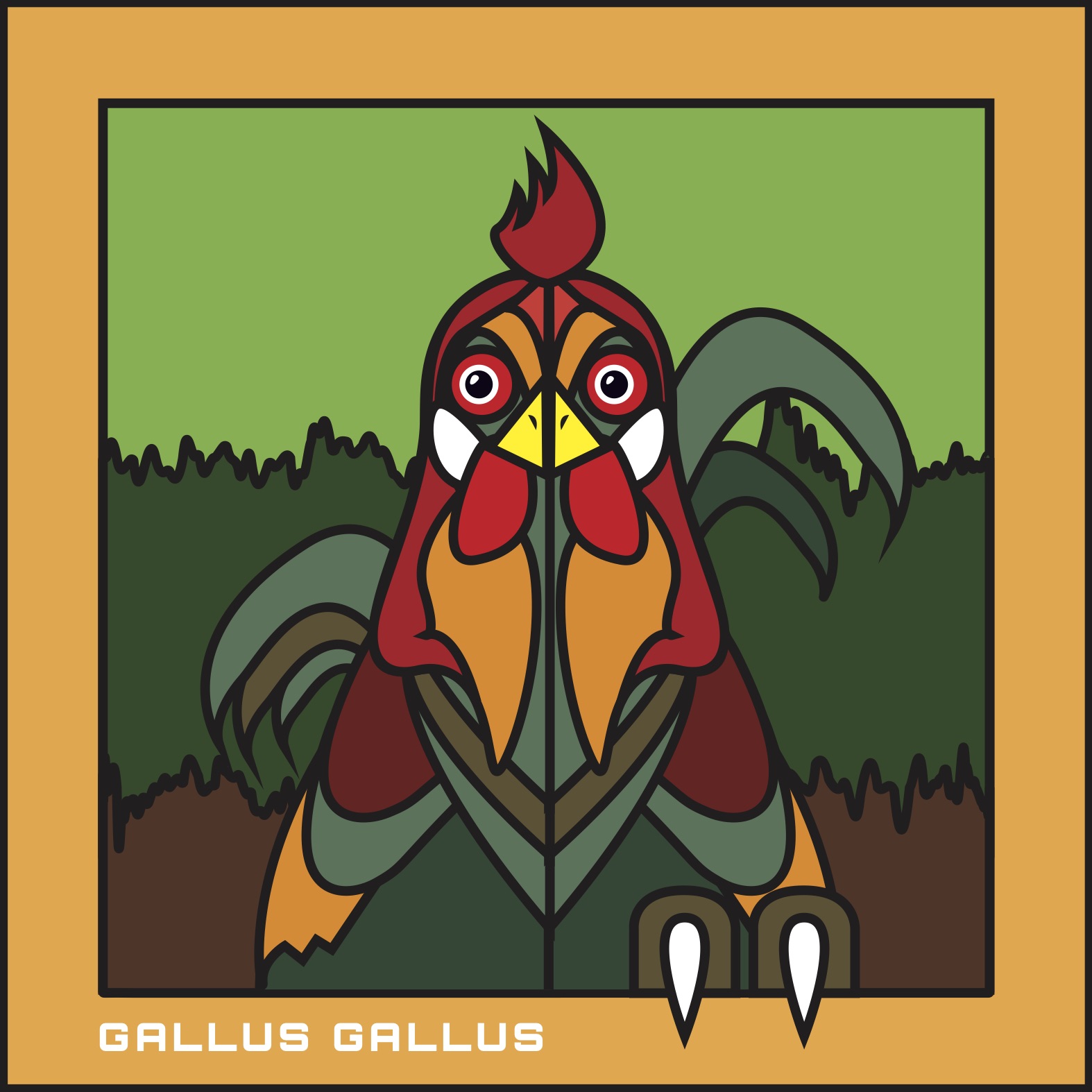 Gallus Gallus or The Sin Ming Chickens